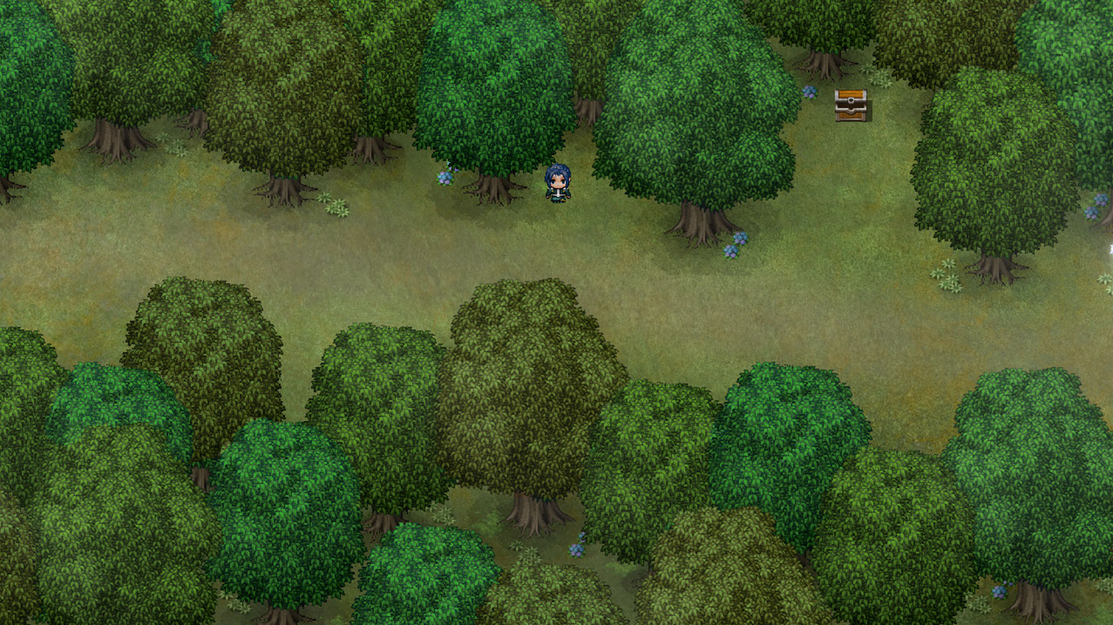 A forest path by day